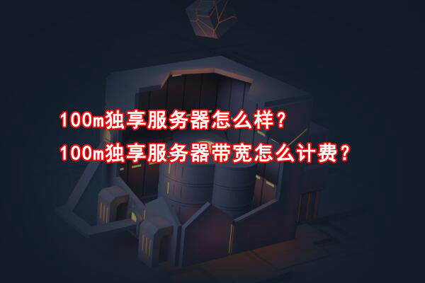 100m独享服务器怎么样