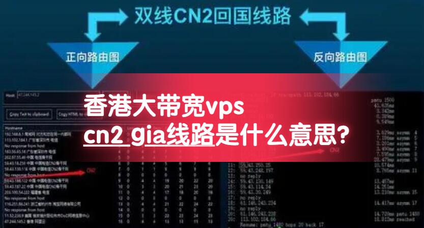 香港大带宽vps cn2 gia线路是什么意思?